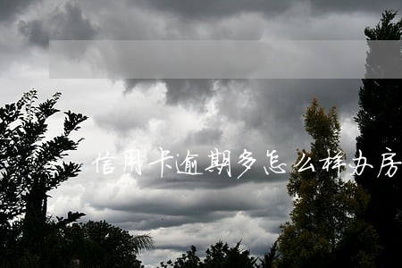 信用卡逾期多怎么样办房贷 信用卡逾期多怎么样办房贷
