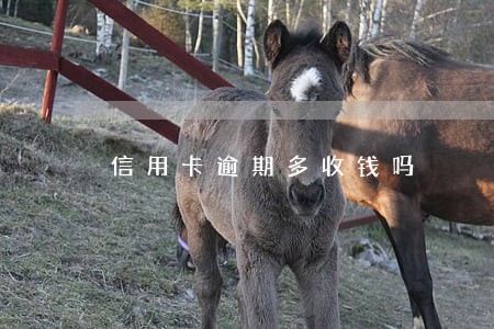 信用卡逾期多收钱吗