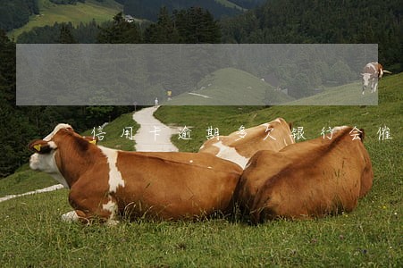 信用卡逾期多欠银行会催收