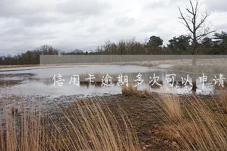 信用卡逾期多次可以申请新卡 信用卡逾期多次可以申请新卡