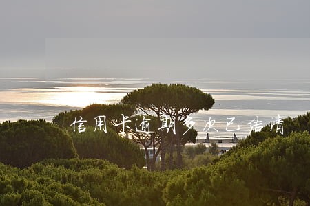 信用卡逾期多次已结清 信用卡逾期多次已结清