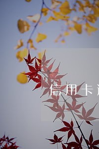 信用卡逾期多次能到老家吗