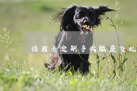 信用卡逾期多次能座飞机 信用卡逾期多次能座飞机