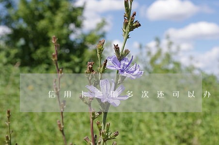 信用卡逾期多次还可以办房贷吗 信用卡逾期多次还可以办房贷吗