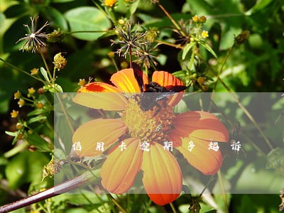 信用卡逾期多起诉 信用卡逾期多起诉
