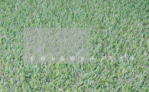 信用卡逾期多还了怎么办 信用卡逾期多还了怎么办