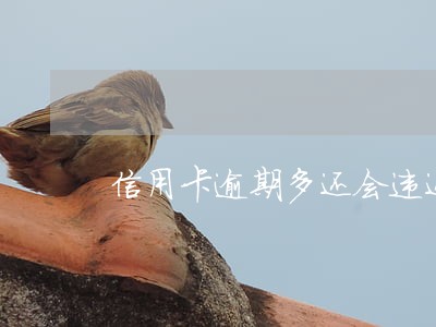 信用卡逾期多还会违还吗 信用卡逾期多还会违还吗