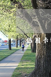 信用卡逾期多钱会坐牢 信用卡逾期多钱会坐牢