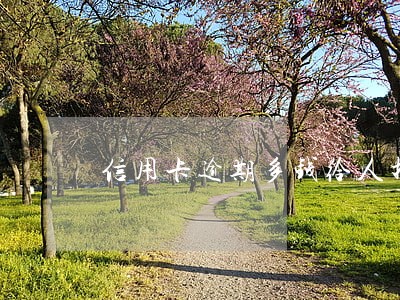信用卡逾期多钱给人打电话 信用卡逾期多钱给人打电话