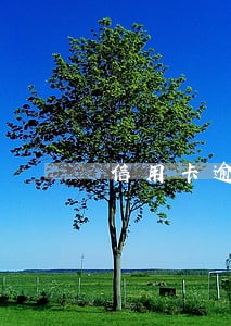 信用卡逾期多长就不能还最低