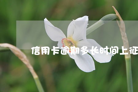 信用卡逾期多长时间上征信吗