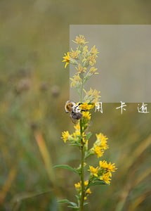 信用卡逾期多长时间上民事诉讼 信用卡逾期多长时间上民事诉讼