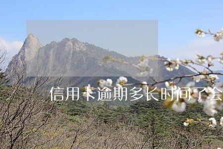 信用卡逾期多长时间了会上征信