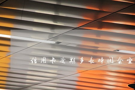 信用卡逾期多长时间会坐牢 信用卡逾期多长时间会坐牢