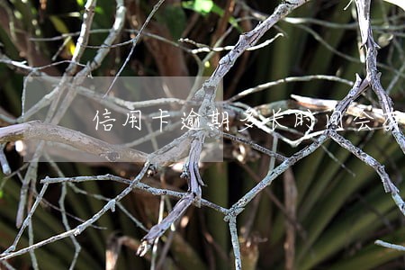 信用卡逾期多长时间会有记录 信用卡逾期多长时间会有记录