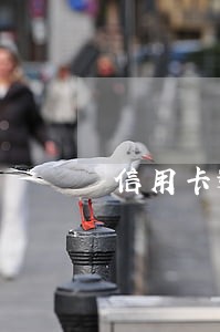 信用卡逾期多长时间会注销