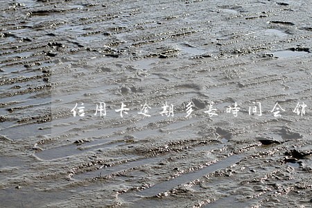 信用卡逾期多长时间会销