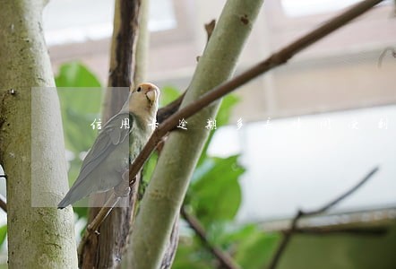 信用卡逾期多长时间受到法律制裁 信用卡逾期多长时间受到法律制裁