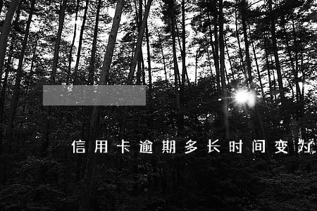 信用卡逾期多长时间变为呆账 信用卡逾期多长时间变为呆账