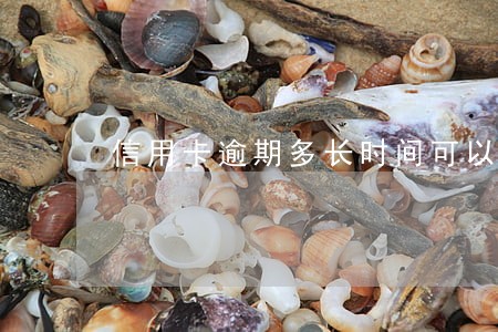 信用卡逾期多长时间可以用 信用卡逾期多长时间可以用