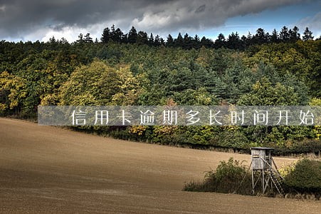 信用卡逾期多长时间开始诉讼 信用卡逾期多长时间开始诉讼