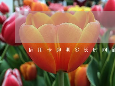 信用卡逾期多长时间征信不显示