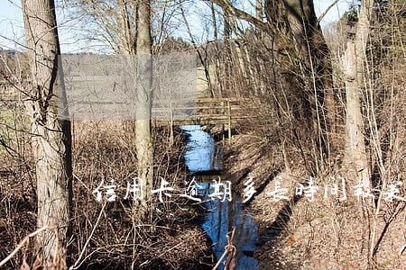 信用卡逾期多长时间报案了 信用卡逾期多长时间报案了