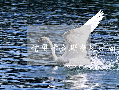 信用卡逾期多长时间是黑户 信用卡逾期多长时间是黑户
