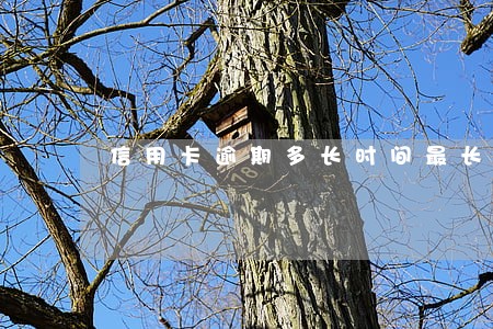 信用卡逾期多长时间最长