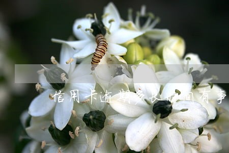 信用卡逾期多长时间有事 信用卡逾期多长时间有事