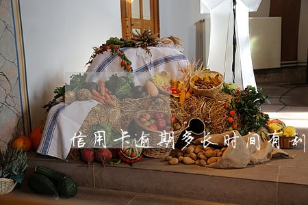信用卡逾期多长时间有利息 信用卡逾期多长时间有利息