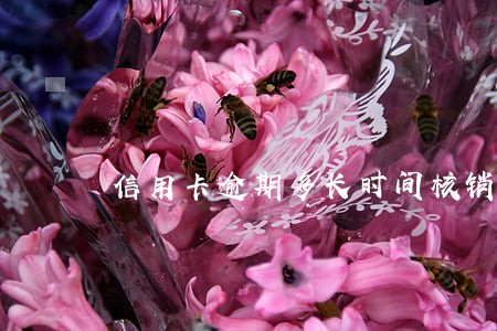 信用卡逾期多长时间核销卡 信用卡逾期多长时间核销卡
