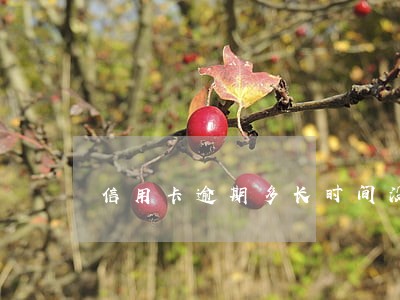 信用卡逾期多长时间没有事
