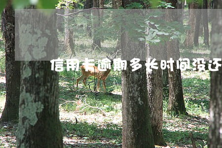 信用卡逾期多长时间没还怎么办 信用卡逾期多长时间没还怎么办