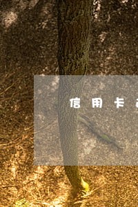 信用卡逾期多长时间算轻的 信用卡逾期多长时间算轻的
