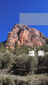 信用卡逾期多长时间能协商 信用卡逾期多长时间能协商