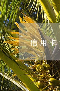 信用卡逾期多长时间能封卡 信用卡逾期多长时间能封卡