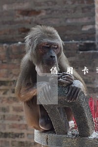 信用卡逾期多长时间能立案 信用卡逾期多长时间能立案