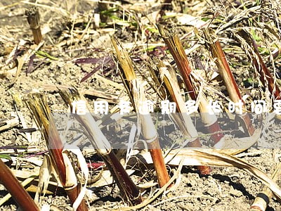 信用卡逾期多长时间要上征信 信用卡逾期多长时间要上征信