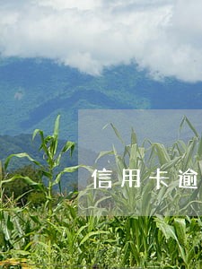 信用卡逾期多长时间还款没事