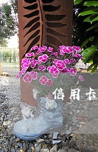 信用卡逾期多长时间降额 信用卡逾期多长时间降额