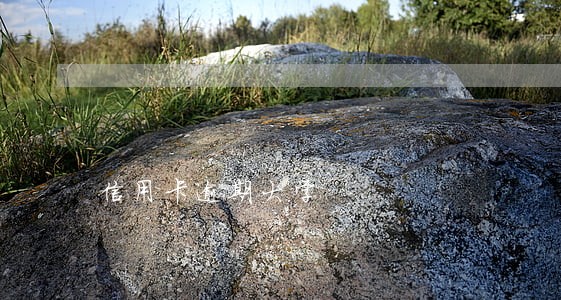 信用卡逾期大学 信用卡逾期大学