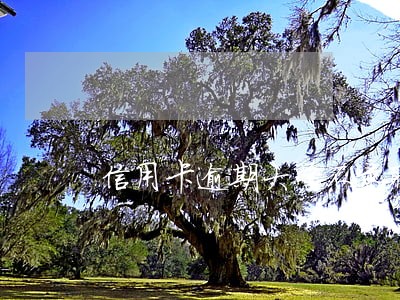 信用卡逾期大学不录取 信用卡逾期大学不录取