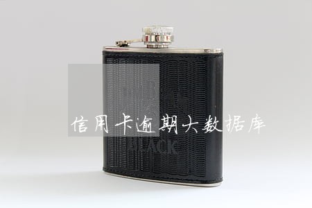 信用卡逾期大数据库 信用卡逾期大数据库