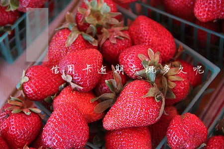 信用卡逾期大概多久呢 信用卡逾期大概多久呢