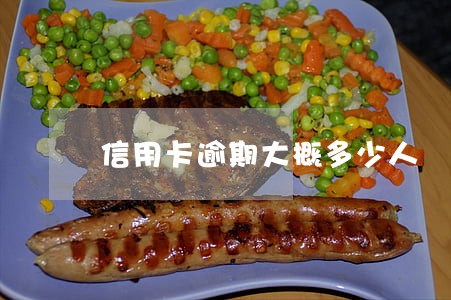 信用卡逾期大概多少人