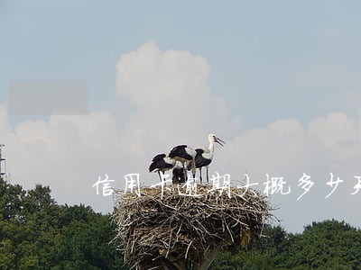 信用卡逾期大概多少天没事 信用卡逾期大概多少天没事