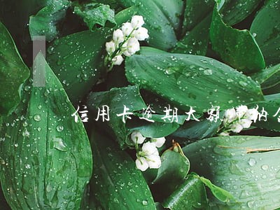 信用卡逾期大额滞纳金
