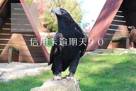 信用卡逾期天90 信用卡逾期天90