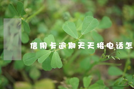 信用卡逾期天天接电话怎么回事 信用卡逾期天天接电话怎么回事